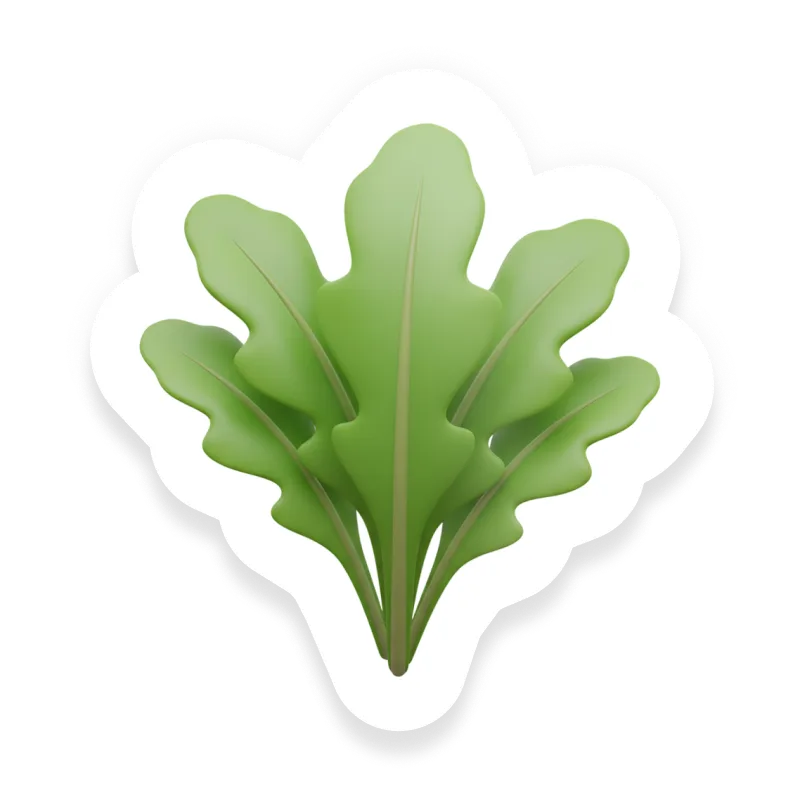 Arugula (Rocket)