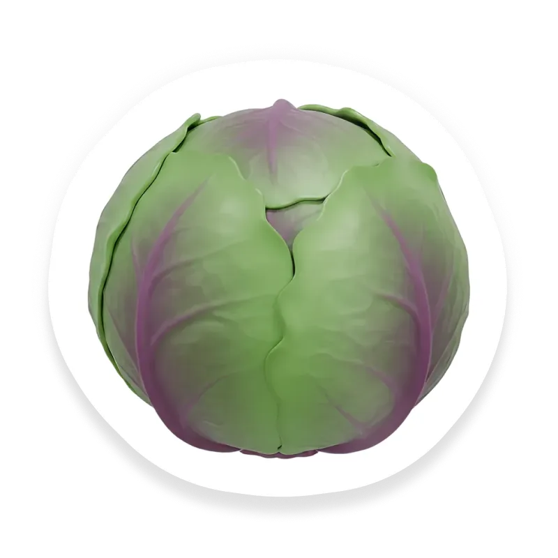 Cabbage