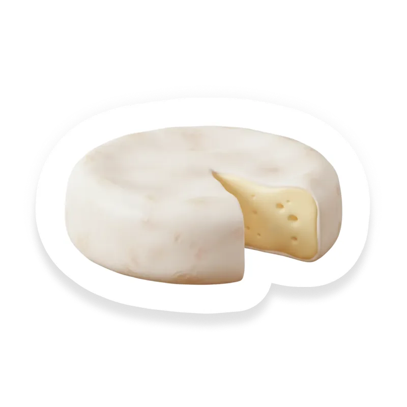 Camembert Cheese