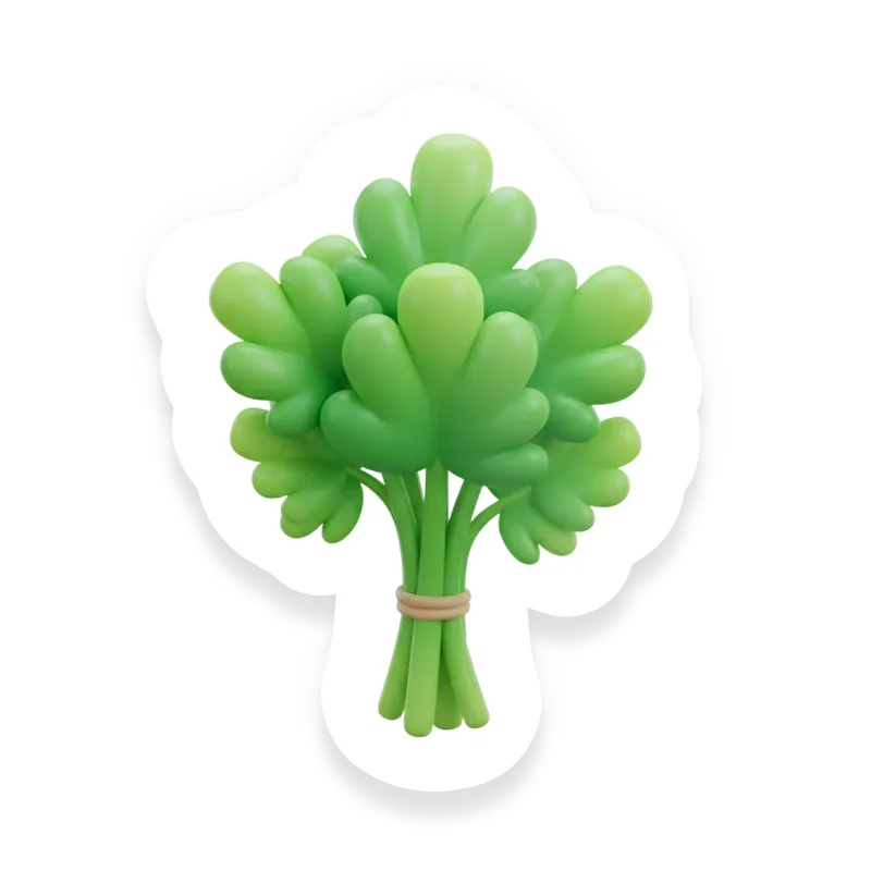 Cilantro (Coriander)