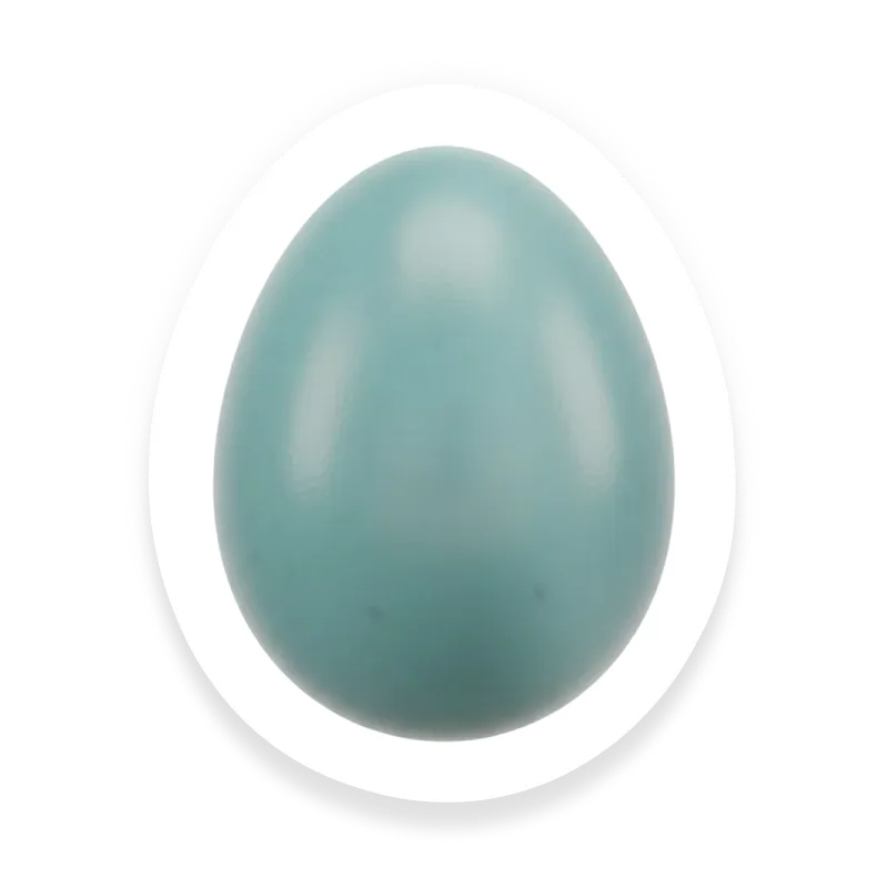 Duck Egg