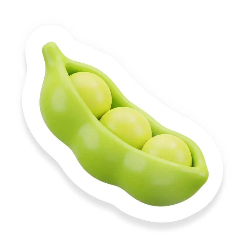 Fava Bean (Broad Bean)