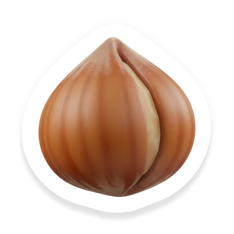 Hazelnut (Filbert)
