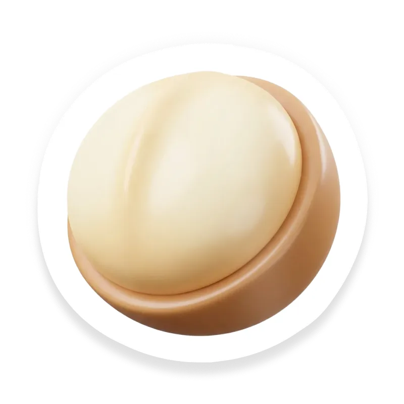 Macadamia Nut