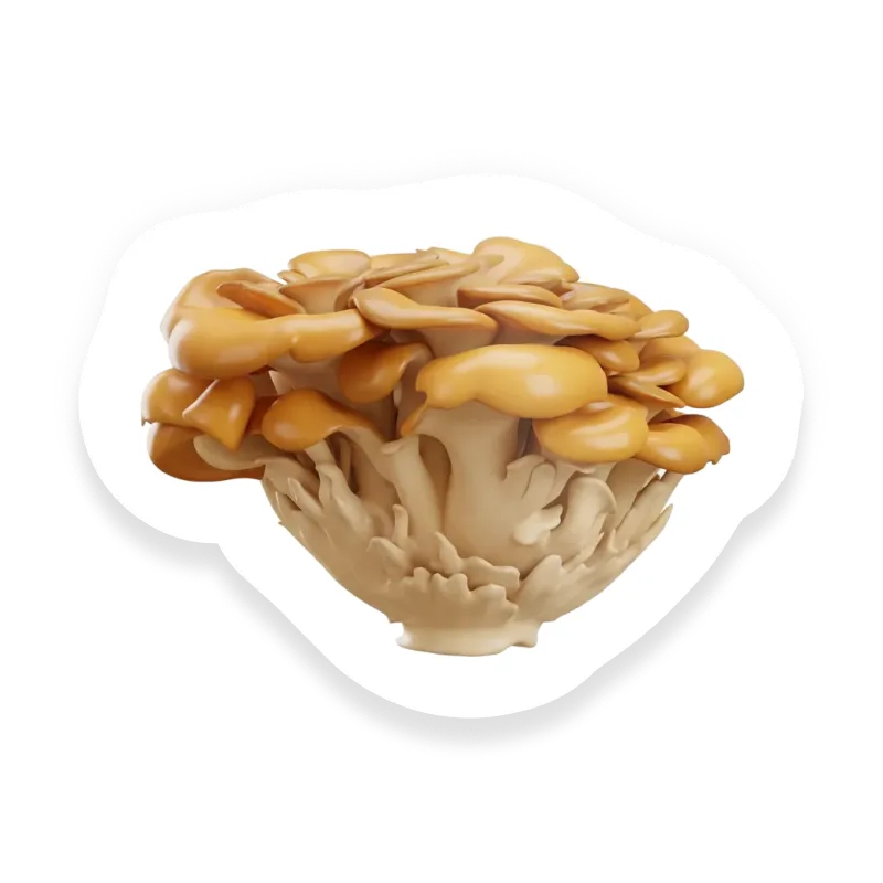 Maitake (Hen-of-the-Woods)