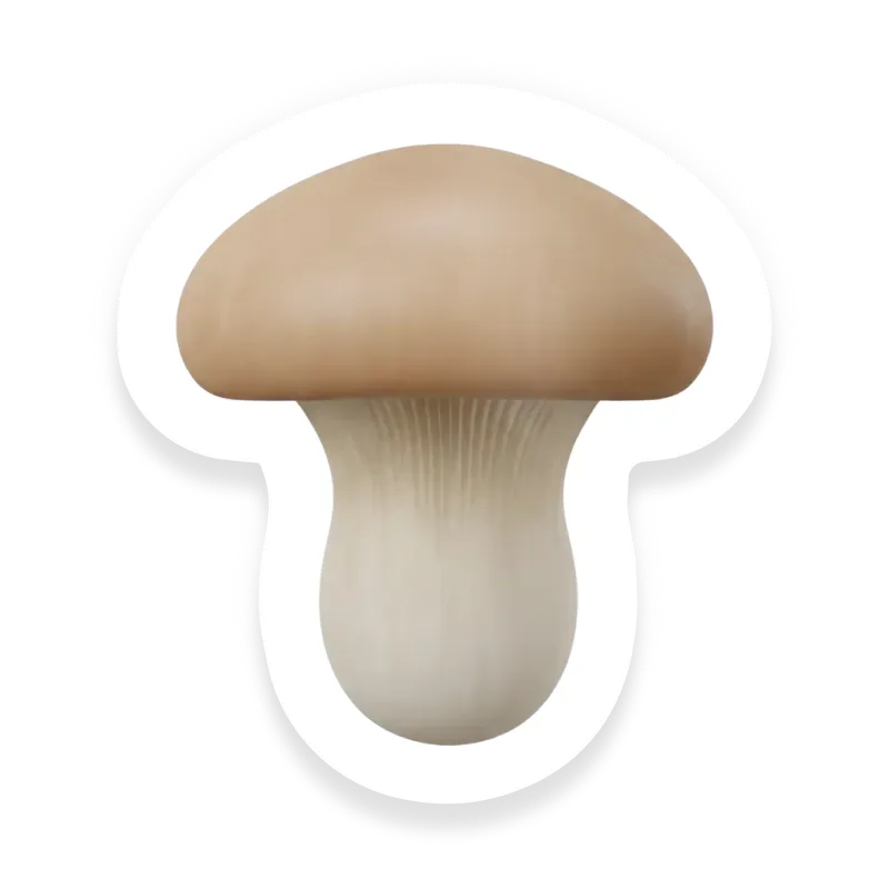Oyster Mushroom