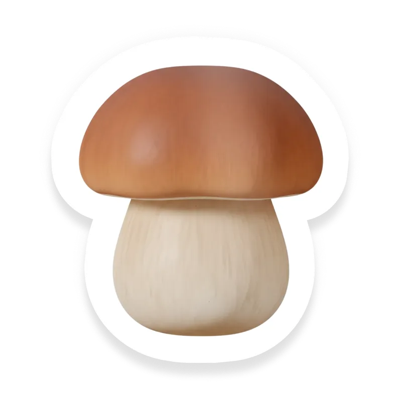 Porcini Mushroom